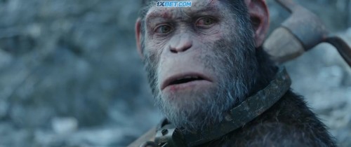 War.For.The.Planet.Of.The.Apes.2017.720p.BRRip.Bengali.Dub.x264 1XBET.0004