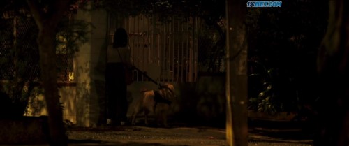 Invisible.Evidence.2020.720p.WEBRip.HINDI.SUB.1XBET.0003.jpg