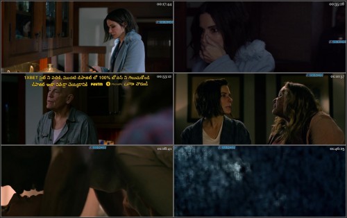 Bird.Box.2018.720p.WEBRip.Telugu.Dub.Dual-Audio.x264-1XBET.jpg