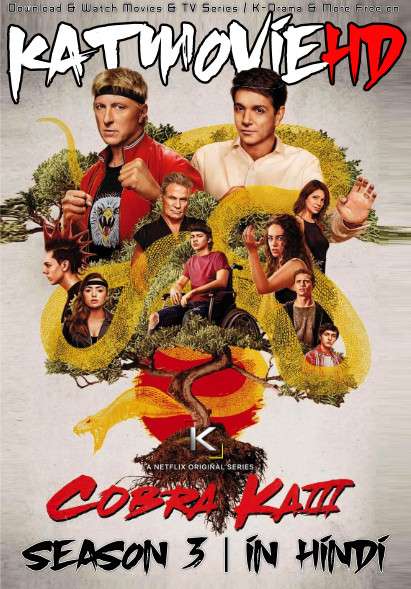 Cobra Kai (Season 3) Complete [Hindi Dubbed DD 5.1] Dual Audio | S03 All Episodes | WEB-DL 1080p 720p/ 480p [NF TV Series]