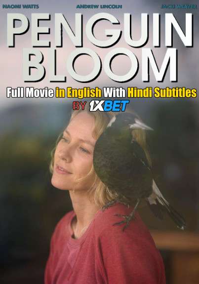 Download Penguin Bloom (2020) HDCAM 720p Full Movie [In English] With Hindi Subtitles FREE on 1XCinema.com & KatMovieHD.io