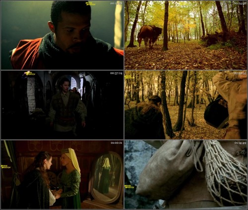 Fire.and.Ice.The.Dragon.Chronicles.2008.720p.BRRip.Hindi.Dub.Dual-Audio.x264-PM.jpg