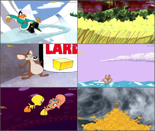Tweetys.High.Flying.Adventure.2000.720p.WEBRip.Hindi.ORG.Dual-Audio.x264.jpg