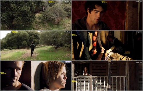 Wolf.Town.2011.720p.WEBRip.Hindi.ORG.Dual-Audio.x264.jpg