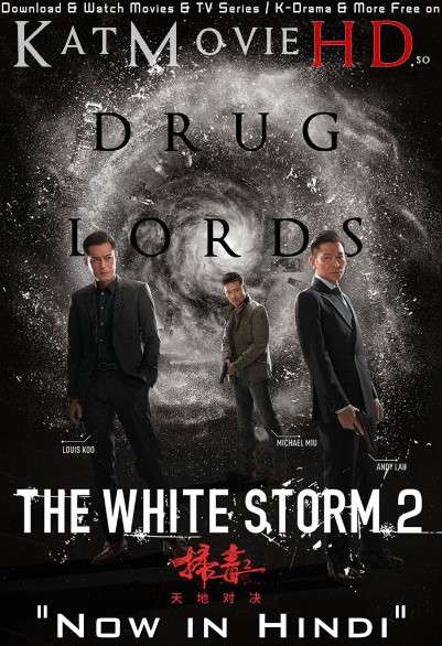The White Storm 2: Drug Lords (2019) Dual Audio [Hindi Dubbed (ORG) & Chinese] BluRay 1080p 720p 480p HD