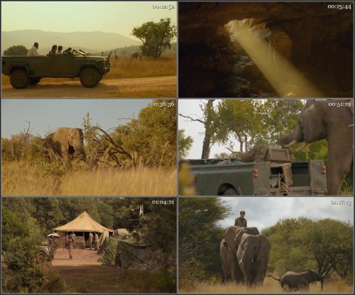 An.Elephants.Journey.2017.720p.WEB-DL.Hindi-English.x264-KatmovieHD.pl.mkv.md.jpg