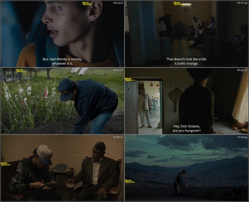 La.Ciudad.de.las.Fieras.2021.720p.WEBRip.HINDI.DUB.PariMatch.jpg