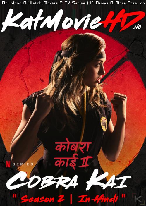 Cobra Kai (Season 2) Complete Hindi Dubbed (DD 5.1) [Dual Audio] All Episodes | WEB-DL 720p [Netflix TV Series]