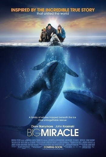 Big Miracle 2012 Hindi Dual Audio Web-DL Full Movie Download