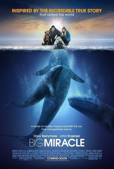 Big Miracle (2012) BluRay [Hindi + English] 1080p 720p & 480p Dual Audio | Full Movie