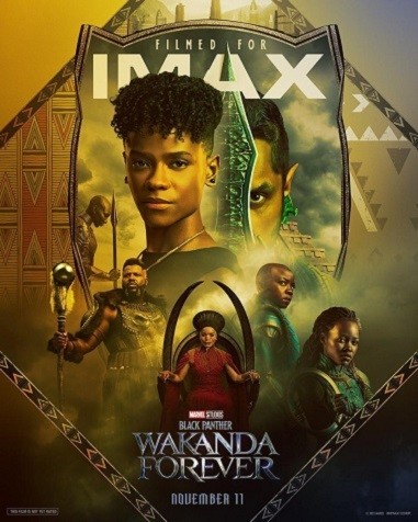 Black Panther: Wakanda Forever (2022) English WEB-DL 1080p 720p & 480p x264 DD2.0 | Full Movie
