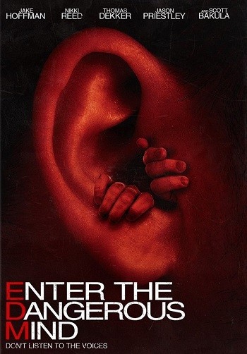 Enter the Dangerous Mind 2013 Hindi Dual Audio BRRip Full Movie Download
