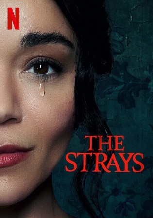 The Strays 2023 WEB-DL English Full Movie Download 720p 480p