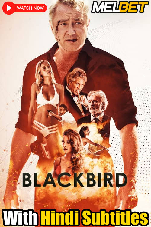 Download Blackbird (2022) Quality 720p & 480p Dual Audio [Hindi Dubbed] Blackbird Full Movie On KatMovieHD