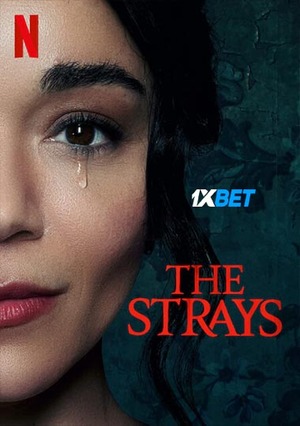 The Strays (2023) 720p WEB-HD (MULTI AUDIO) [Bengali]