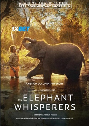 The Elephant Whisperers (2022) 720p WEB-HD (MULTI AUDIO) [Bengali (Voice Over) + English]