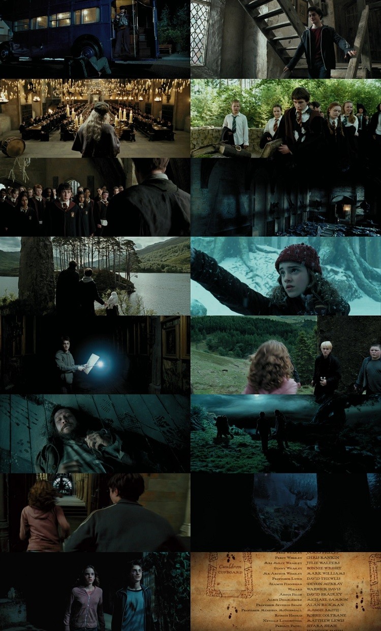 Harry Potter and the Prisoner of Azkaban 2004 Hindi ORG Dual Audio Movie DD5.1 1080p 720p 480p BluRay ESubs x264 HEVC