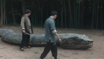 Mutan-Python-ss5