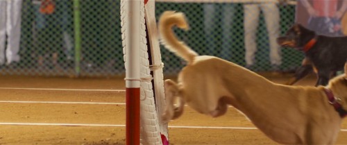 Neymar.2023.1080p.Hindi.WEB-DL.5.1.ESub.x264-HDHub4u.Tv.mkv.0009.jpg