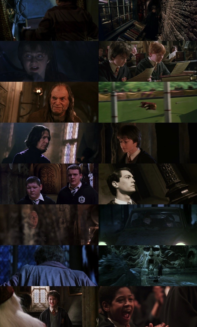 Harry Potter and the Chamber of Secrets 2002 Hindi ORG Dual Audio Movie DD5.1 1080p 720p 480p BluRay ESubs x264 HEVC