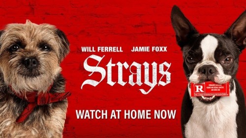 Strays-2023-p.jpg