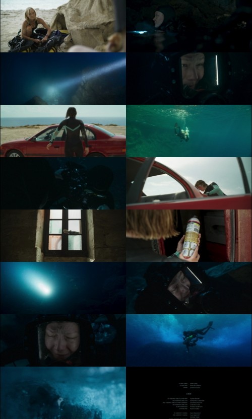 The.Dive.2023.1080p.WEB.DL.English.DD.2.0.x264.ESubs_s.jpg