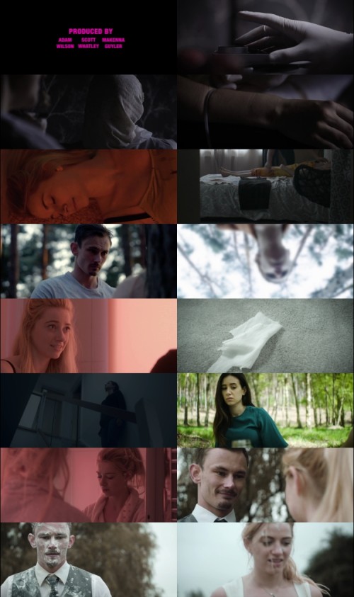 Crawl.to.Me.Darling.2020.720p.WEB.DL.Hindi.English.DD.2.0.x264.ESubs_s.jpg