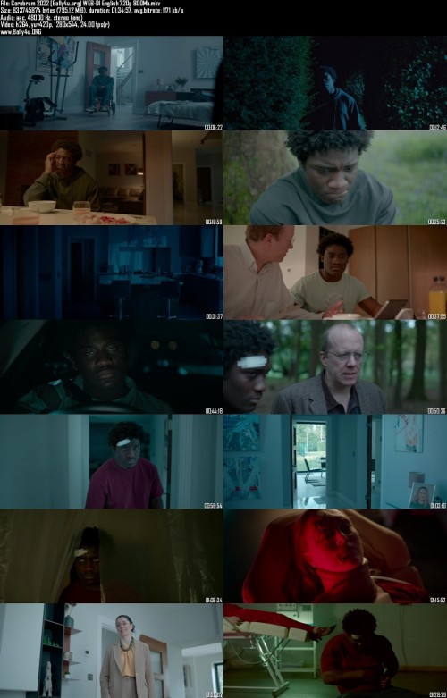 Cerebrum-2022-Bolly4u.org-WEB-Dl-English-720p-800Mb_s.jpg