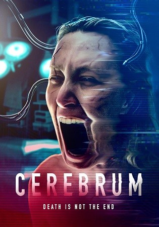 Cerebrum 2022 WEB-DL English Full Movie Download 720p 480p