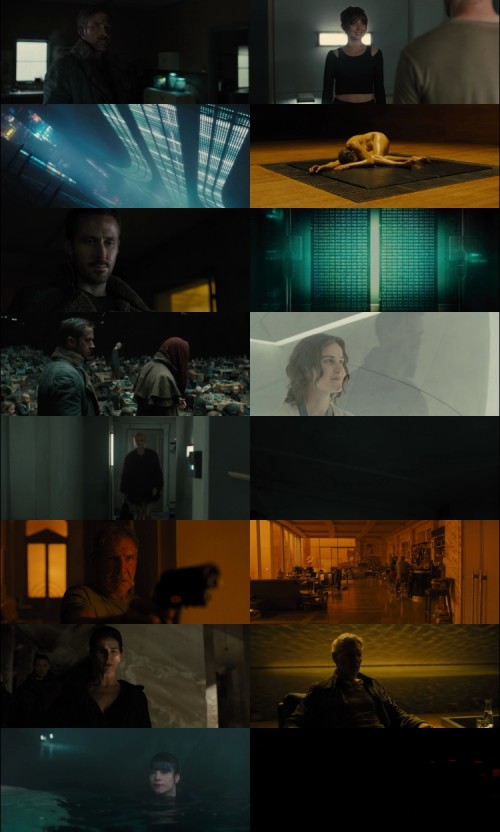 Blade.Runner.2049.2017.1080p.BluRay.Hindi.English.DD.2.0.x264.ESubs_s.jpg
