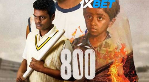 800-2023--p.jpg