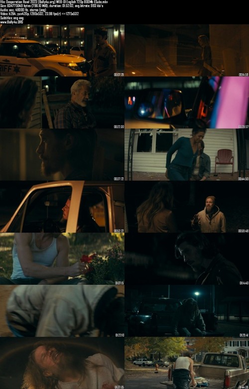 Desperation-Road-2023-Bolly4u.org-WEB-Dl-English-720p-800Mb-ESubs_s.jpg