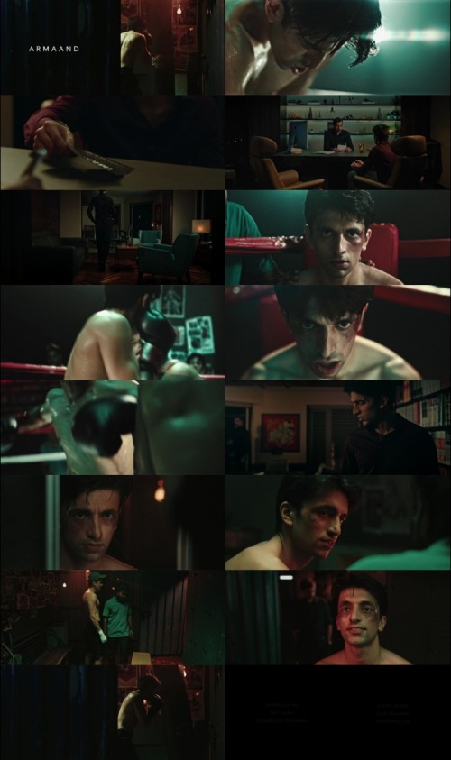 Armaand.2023.1080p.WEB.DL.Hindi.English.2.0.x264.ESub_s.jpg
