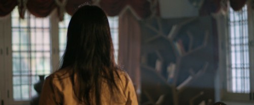 The.Y.2023.1080p.WEB DL.5.1.ESub.x264 HDHub4u.Tv.mkv.0000