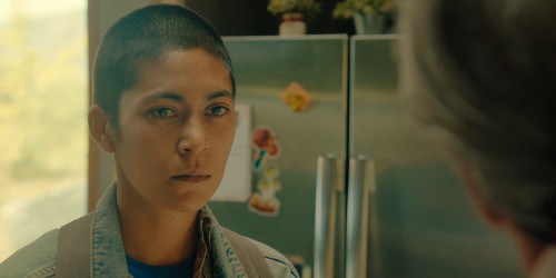 Sayen.Desert.Road.2023.1080p.WEB DL.Hindi.5.1 English.5.1.ESub.x264 HDHub4u.Tv.mkv.0009
