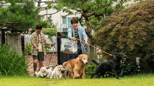 My-Heart-Puppy-2023-p.jpg
