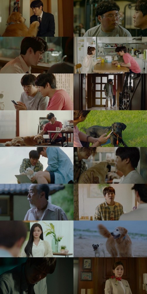 My.Heart.Puppy.2023.1080p.WEB.DL.Hindi.Korean.2.0.x264.ESubs_s.jpg