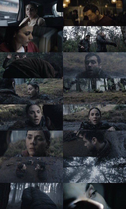Quicksand.2023.1080p.WEB.DL.Hindi.English.5.1.x264.ESubs_s.jpg