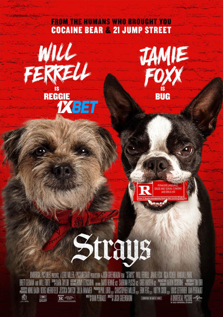 Strays.2023.720p.WEBRip.TEL.jpg