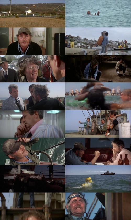 Jaws.1975.1080p.BluRay.Hindi.English.5.1.x264.ESub_s.jpg