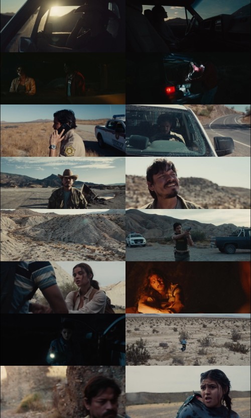 BORREGO.2023.1080p.WEB.DL.Hindi.English.DD.2.0.x264.ESubs_s.jpg