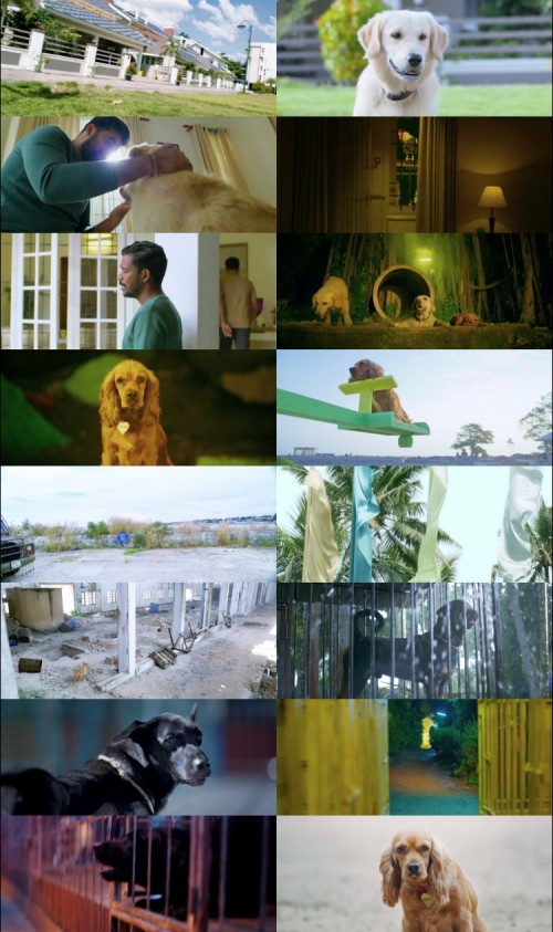 Valatty.2023.1080p.WEB.DL.Hindi.Malayalam.2.0.ESubs_s.jpg