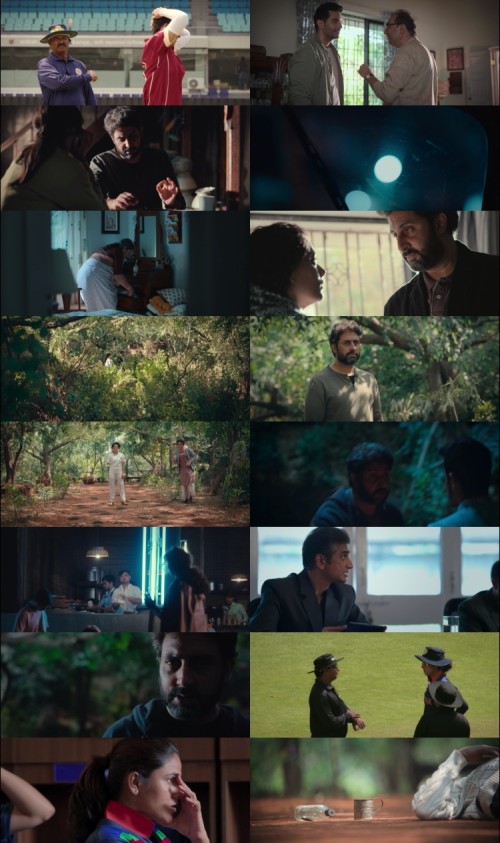 Ghoomer.2023.1080p.Hindi.WEB-DL.5.1.ESub.x264-HDHub4u.Tv_s.jpg