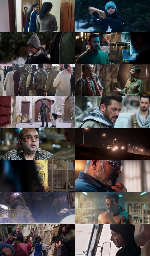 Tiger.Zinda.Hai.2017.1080p.BluRay.Hindi.5.1.x264.MSub_s.jpg
