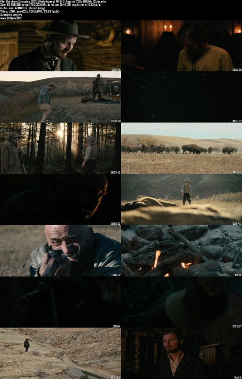Butchers-Crossing-2023-Bolly4u.org-WEB-Dl-English-720p-800Mb-ESubs_s.jpg