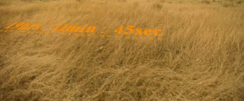 Custody.2023.1080p.WEB-DL.Hindi.ORG.5.1-Telugu.5.1.ESub.x264-HDHub4u.Tv.mkv.0005.jpg