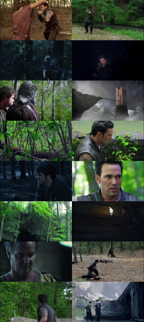 The.Dragon.Warrior.2011.720p.BluRay.Hindi.English.2.0.ESubs_s.jpg