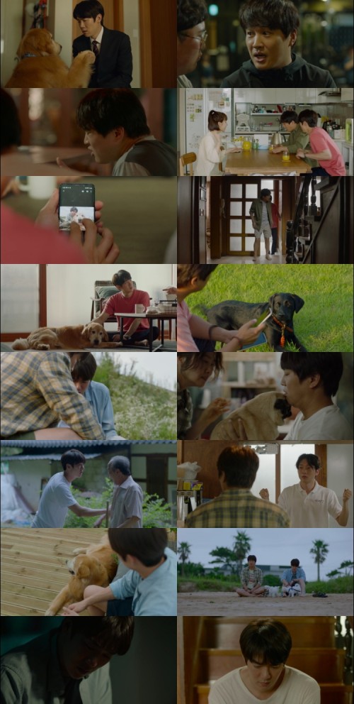 My.love.puppy.2022.1080p.WEB.DL.Hindi.Korean.2.0.x264.ESubs_s.jpg