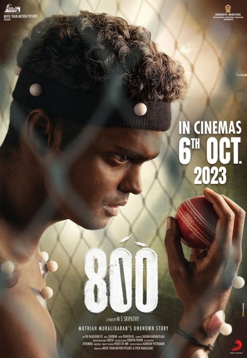 800.jpg