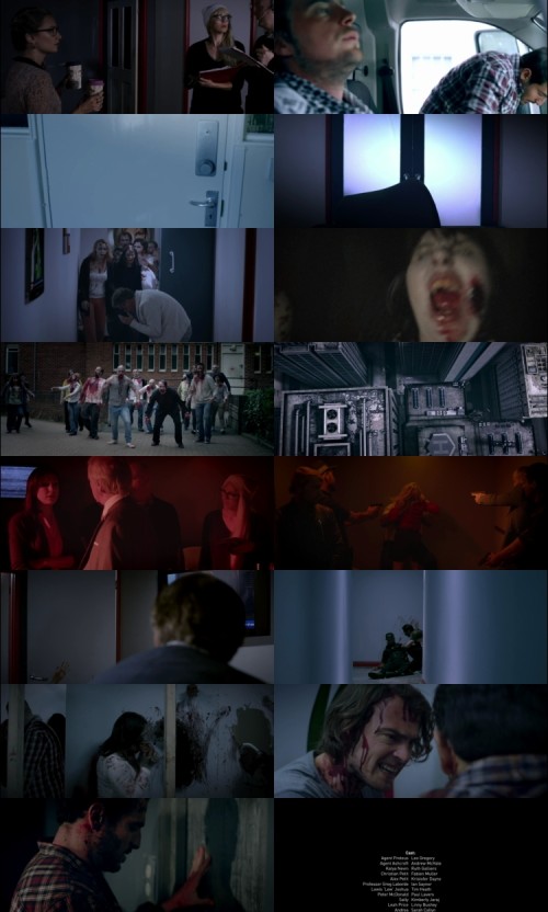 Dawning.of.The.Dead.2017.720p.BluRay.Hindi.English.2.0.x264.ESubs_s.jpg